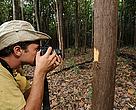 Os pesquisadores da equipe de botânica voltaram para o laboratório com cerca de 200 espécies diferentes  de plantas coletadas. 
