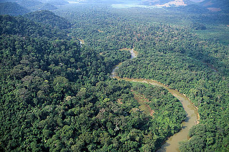  / &copy;: WWF-Canon / Edward PARKER 