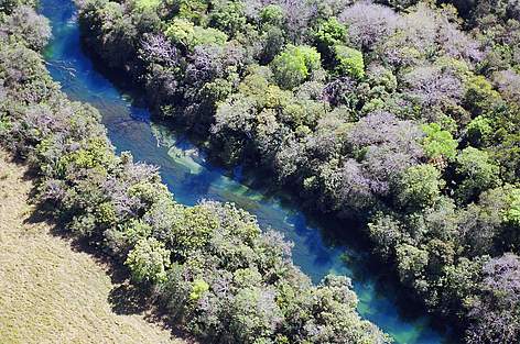 Rio Miranda.
© WWF-Brasil Rio Miranda. rel=