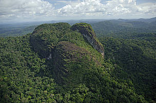 Programa de Áreas Protegidas da Amazônia (Arpa).
© WWF-Brasil/Zig Koch Programa de Áreas Protegidas da Amazônia (Arpa).
© WWF-Brasil/Zig Koch