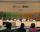 O debate sobre o valor econômico da biodiversidade é destaque em dia de eventos sobre o tema no início da segunda semana da COP 10 da CDB, em Nagoia. 