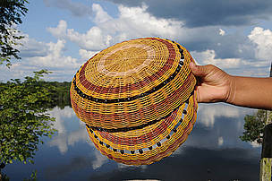  / &copy;: WWF-Brasil / Zig Koch