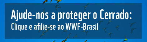 Ajude-nos a proteger o Cerrado. / &copy;: WWF-Brasil