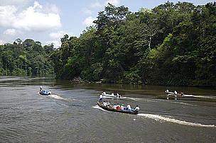 Expedições científicas são uma das iniciativas do WWF-Brasil para ampliar os conhecimentos sobre o ...
© Zig KOCH
© Zig KOCH