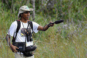 A memória auditiva é a mais importante ferramenta para o estudo das aves
© WWF-Brasil / Adriano Gambarini
© WWF-Brasil / Adriano Gambarini