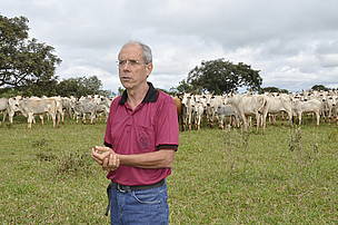 Organic cattle ranching farm, fazenda, pecuária, orgância, Brasil