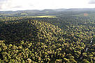  / &copy;: WWF-Brasil/Alex Silveira