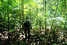  / &copy;: WWF-Brasil/Alex Silveira