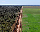 Foto aérea de plantação de soja na região de Ribeiro Gonçalves, Piauí.