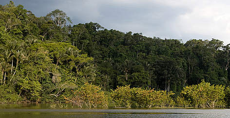  / &copy;: WWF-Brasil/Adriano Gambarini