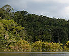 Amazônia