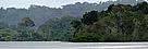  / &copy;: WWF-Brasil / Adriano Gambarini