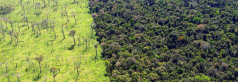 A grilagem acontece até hoje devido às deficiências encontradas no sistema de controle de terras no ...
© WWF-Brasil/Cláudio Maretti rel=