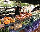 Orgânicos na feira da Estação Biológica (Asa Norte): benefícios à saúde e ao meio ambiente