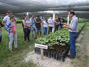 Apuí d3nehc6yl9qzo4cloudfrontnetimgdsc0520350633jpg