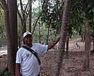 José Aparecido mostra o bosque com árvores grandes que ele ajudou a plantar nas margens do rio Cabaçal há mais de 10 anos.