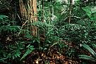  / &copy;: WWF-Canon / Edward PARKER 