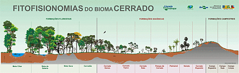 Fitofisionomias do Cerrado / ©: Embrapa Fitofisionomias do Cerrado / ©: Embrapa