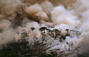  / &copy;: WWF-Canon / Mark EDWARDS