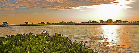  / &copy;: WWF-Brasil/A. Cambone, R. Isotti - Homo ambiens