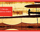 Capa da publicação HSBC Climate Confidence Index