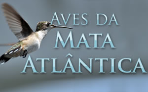 Aves da Mata Atlântica / &copy;: WWF-Brasil