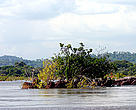 Xingu