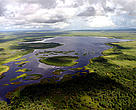  Áreas Protegidas
Atuação do WWF-Brasil Expedição ao Tumucumaque Programa Áreas Protegidas da Amazônia (Arpa) Expedição ao Cabo Orange Campanha de arrecadação para o Arpa Expedição Juruena-Apuí          Início > Nosso Trabalho > Áreas Protegidas > Expedição ao Cabo Orange > O Parque Nacional do Cabo Orange 
O Parque Nacional do Cabo Orange
O Parque Nacional do Cabo Orange (PNCO) é uma unidade de conservação criada pelo governo federal no dia 15 de julho de 1980 para preservar uma variedade de ecossistemas localizados na foz do rio Oiapoque e na costa norte do Brasil, no estado do Amapá.
 
Vista aérea do Lago Maruani, no Parque Nacional do Cabo Orange. Paisagem é típica da região
