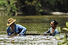Pesquisadores de ictiofauna, Jansen Zuanon e Janice Cunha, coletando peixes durante a expedição. / &copy;: WWF-Brasil / Adriano Gambarini