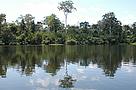 A iniciativa tem o objetivo de contribuir para a consolidação das novas unidades de conservação ...
© WWf-Brasil/Edison Caetano Lago Santo Antônio (Acre).
© WWf-Brasil/Edison Caetano