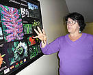 Lucia Sevegnani, doutora em ecologia de florestas pela USP e professora do Departamento de Ciências Naturais da Universidade de Blumenau (Furb)