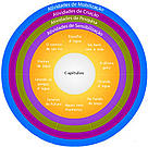 Ilustração da mandala da publicação Cadernos de Educação Ambiental Água para Vida - Água para Todos / ©: WWF-Brasil / ©: WWF-Brasil