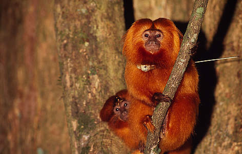  / &copy;: WWF-Canon / Juan PRATGINESTOS
