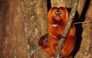  / &copy;: WWF-Canon / Juan PRATGINESTOS