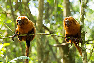  / &copy;: WWF-Brasil / Marcela Beltrão