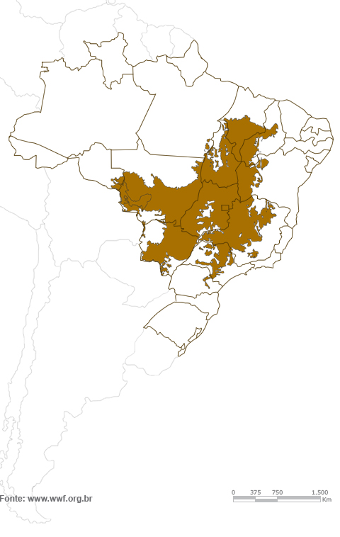 Mapa Bioma Cerrado Wwf Brasil 1183