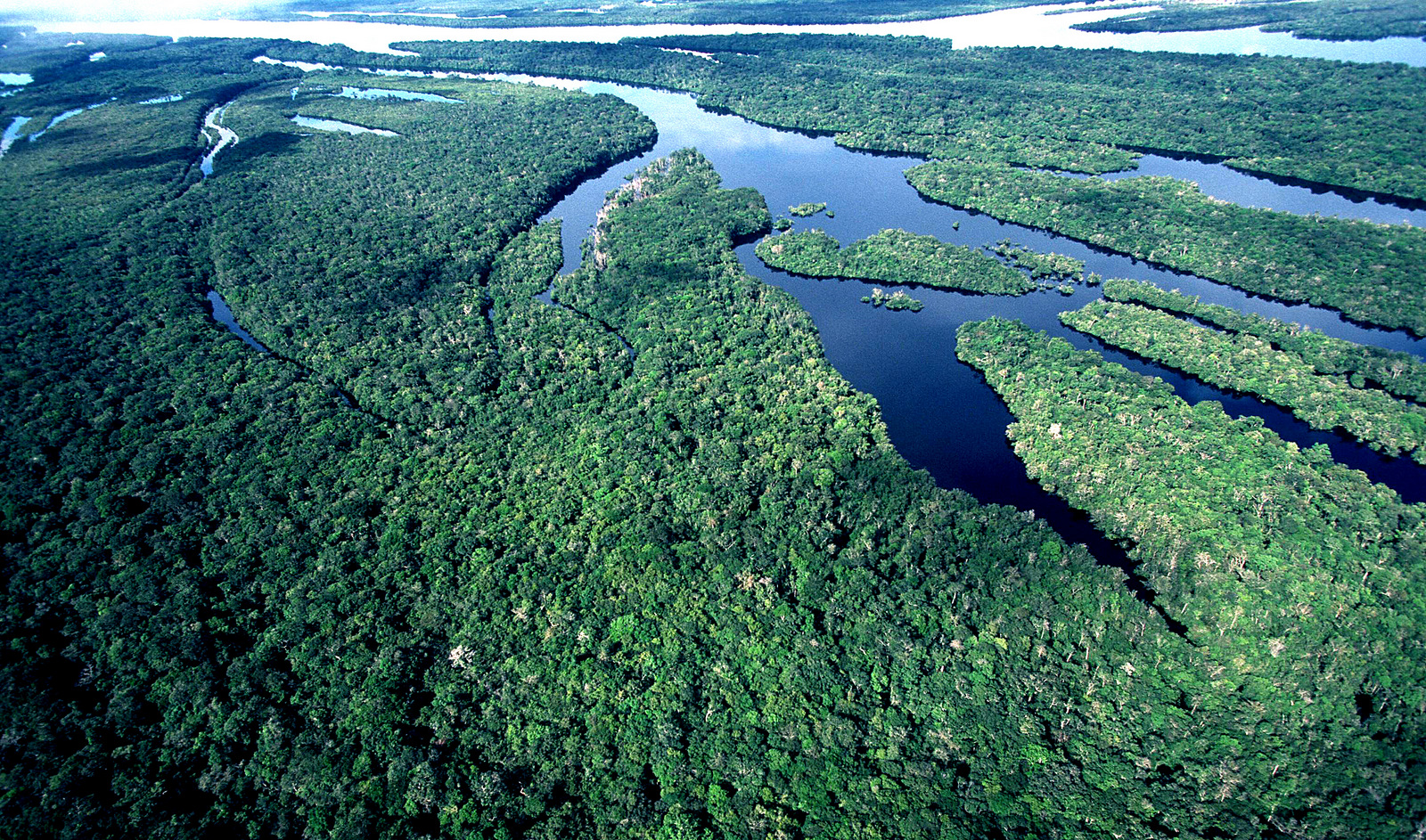 Resultado de imagem para areas protegidas na amazonia