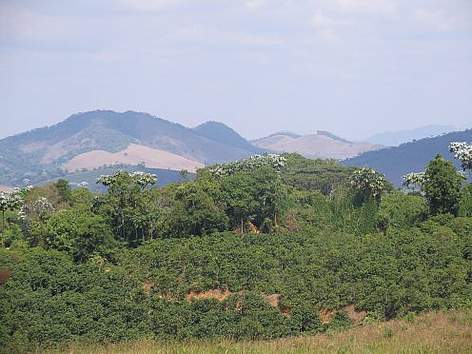  / &copy;: WWF-Brasil