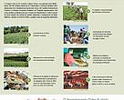 Reforma Agrária e Meio Ambiente - Programa Mata Atlântica