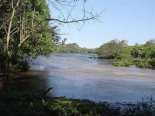 Mata ciliar na bacia do Alto Paraguai, no Mato Grosso do Sul
© WWF-Brasil / Eduardo Mongelli
© WWF-Brasil / Eduardo Mongelli