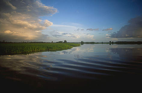 Detalhe de lago na região de Santarém (Pará), onde o Projeto Várzea é desenvolvido há cerca de 14 ... / ©: WWF-Canon/Edward Parker Região de lagos próxima ao Município de Santarém (Pará). / ©: WWF-Canon/Edward Parker