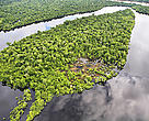 Vista aérea de rio na floresta Amazônica, região de Loreto, no Peru.