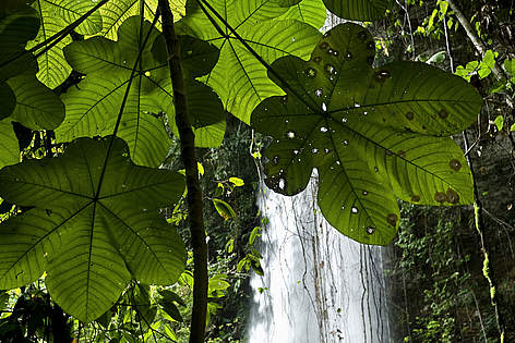 Cachoeira Collares durante a Expedição ao Parque Nacional do Juruena, 2a fase, Mato Grosso, Brasil. / &copy;: WWF-Brasil/Adriano Gambarini
