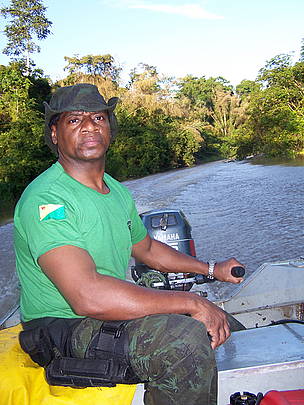 Jogador: ajude a proteger a floresta em “Save Amazônia