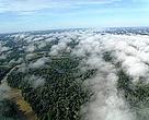 The remuneration for sustainable services contribute to conserve the forests.