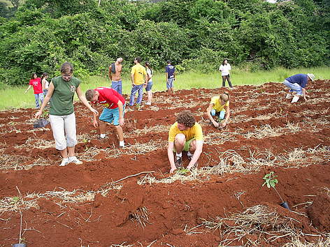 Participe do plantio de mudas
© Giramundo Mutuando rel=