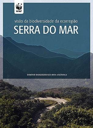 Capa da publicação