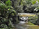Papel de parede - quiz Mata Atlântica em Jogo - versão A - 1024x768 / &copy;: WWF-Brasil