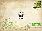 Papel de parede - quiz Mata Atlântica em Jogo - versão C - 1024x768 / &copy;: WWF-Brasil