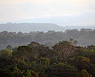 Vista da floresta Amazônica durante a Expedição Aracá Expedition, Amazonas, Brasil.